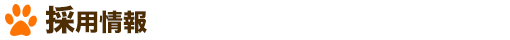 採用情報
